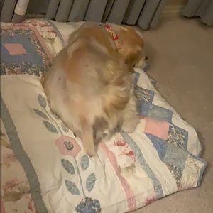 Meet your Posher, Toni